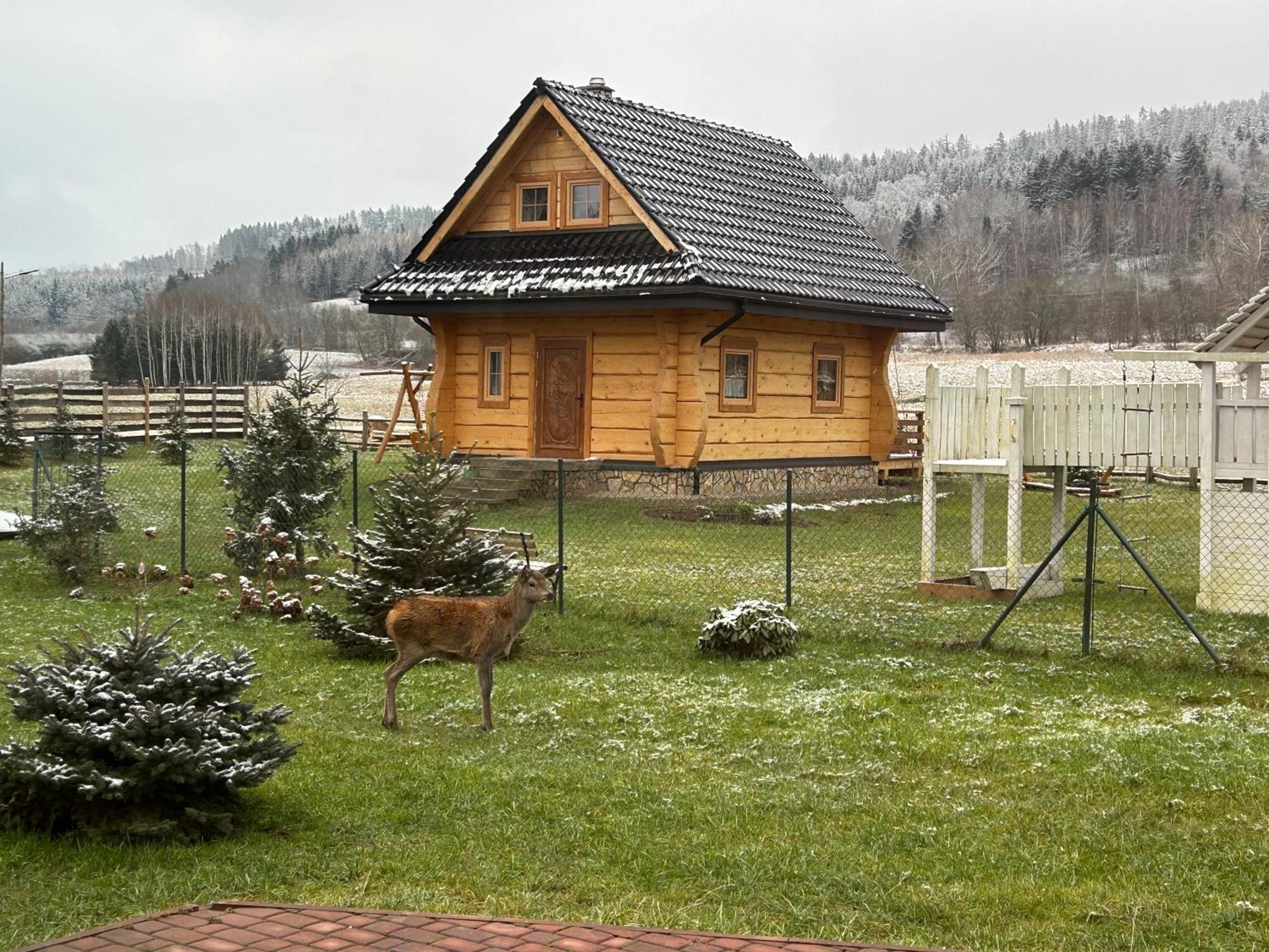 Sloneczna Z Bali Chalet *